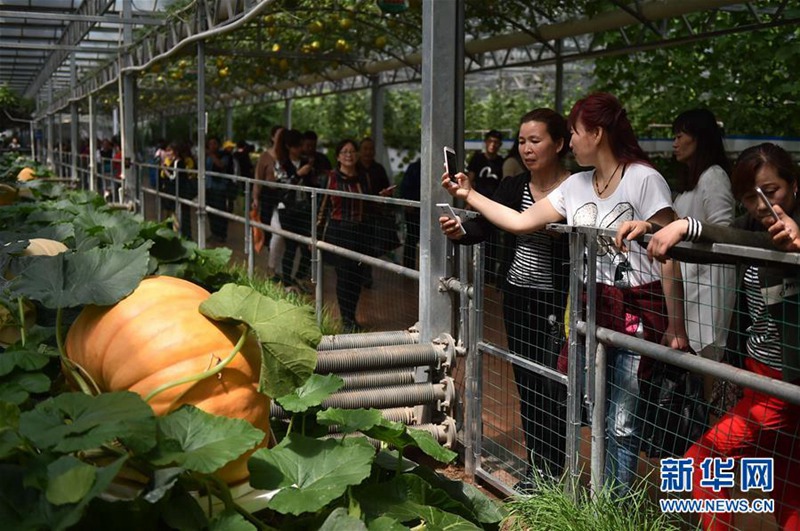 18. Internationale Chinesische Gemüse-Technikmesse eröffnet