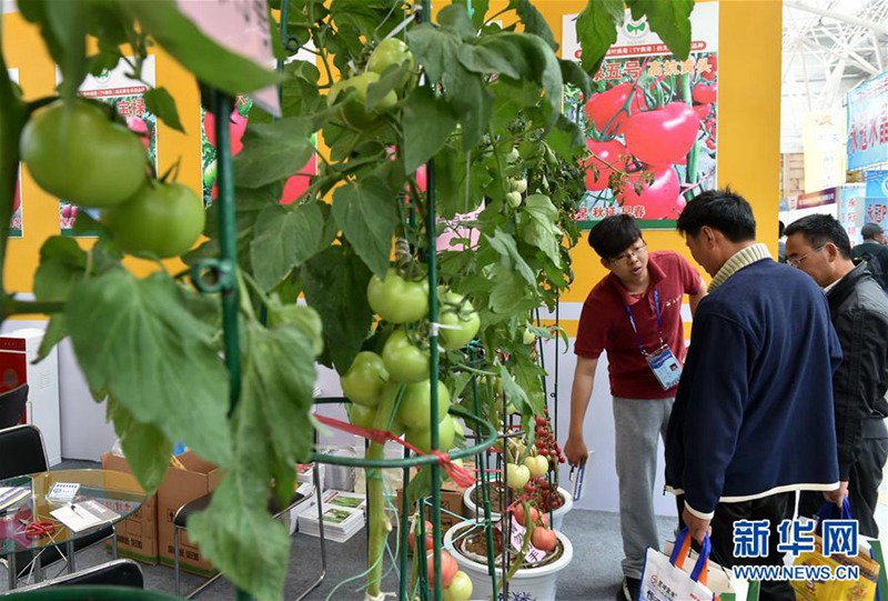 18. Internationale Chinesische Gemüse-Technikmesse eröffnet