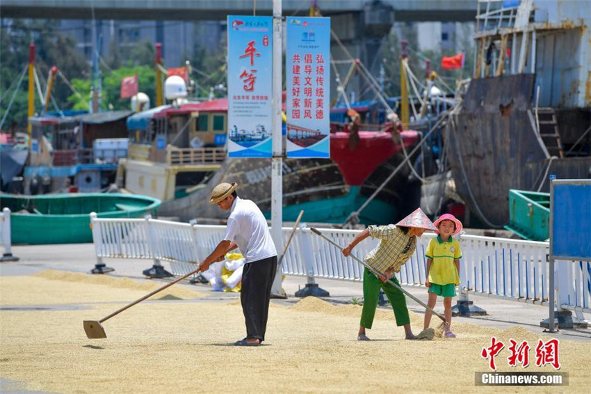 Südchinesisches Meer begrüßt Fischfang-Moratorium