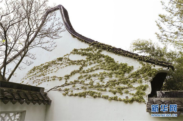 Jixing: New Yorks Chinesischer Garten