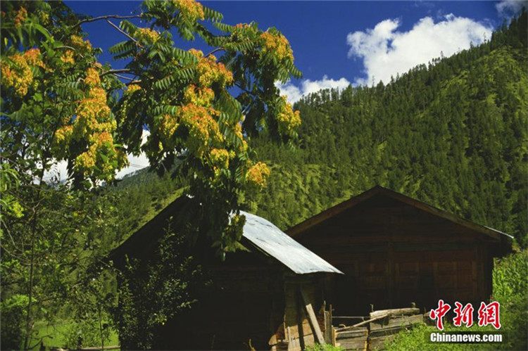 Zhangmu: Ein wunderschönes tibetisches Bergdorf