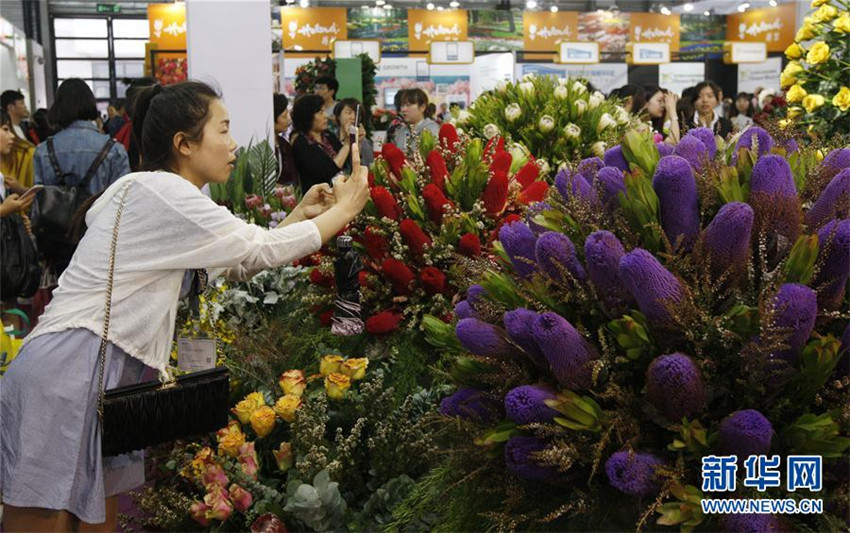Internationale Gartenbau-Expo in Shanghai eröffnet