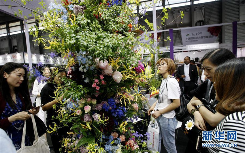 Internationale Gartenbau-Expo in Shanghai eröffnet
