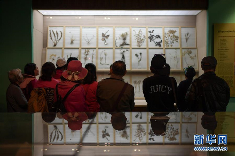 Chinesisches Museum der tibetischen Medizinkultur