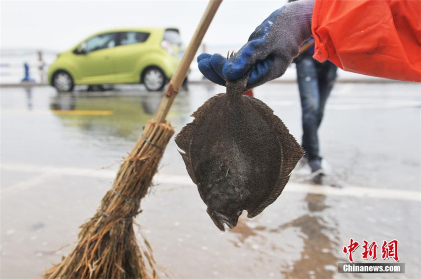 Riesenwellen in Qingdao locken Besucher an