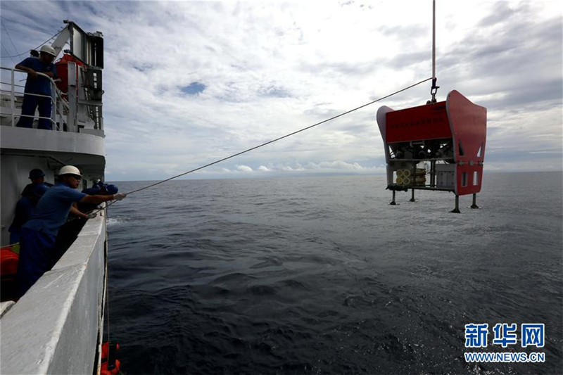 Chinesische Forscher sammeln Flohkrebse aus 8000 Meter Tiefe
