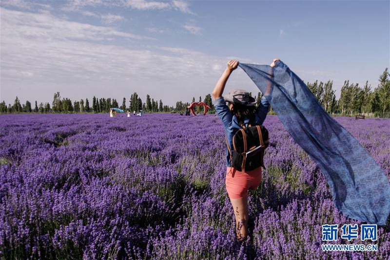 7. Internationales Lavendel-Tourismusfest in Ili eröffnet