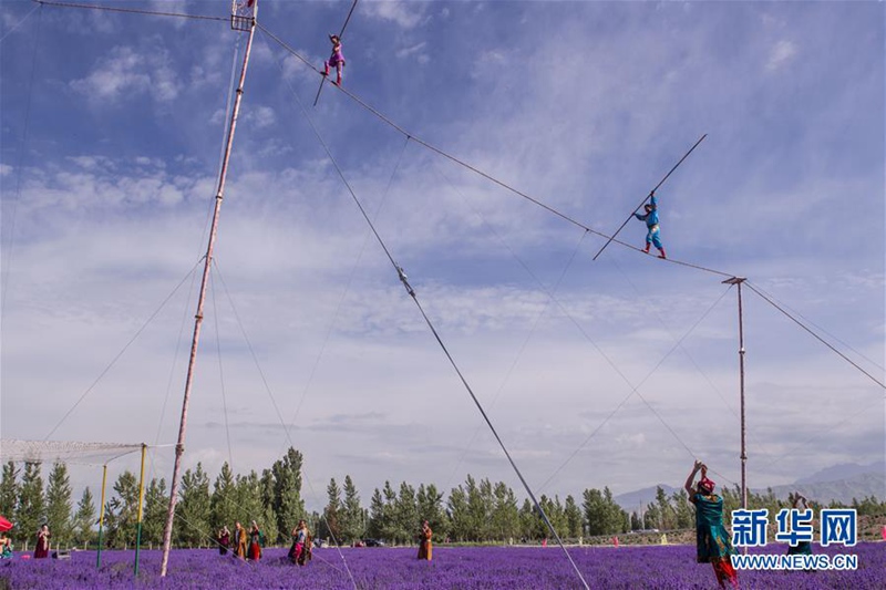 7. Internationales Lavendel-Tourismusfest in Ili eröffnet