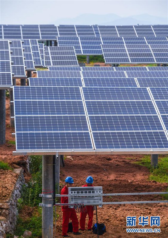 Zhejiang: Photovoltaikanlagen auf Feldern gehen ans Netz