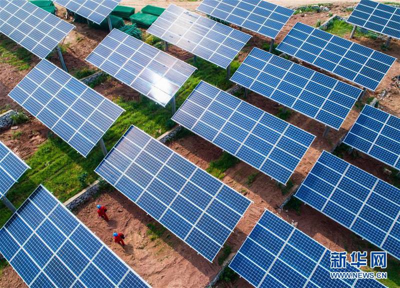 Zhejiang: Photovoltaikanlagen auf Feldern gehen ans Netz