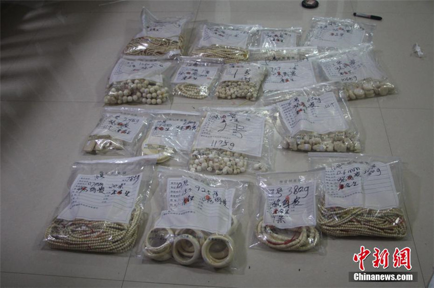 Guangxi beschlagnahmt 11 Kilogramm Elfenbeinprodukte