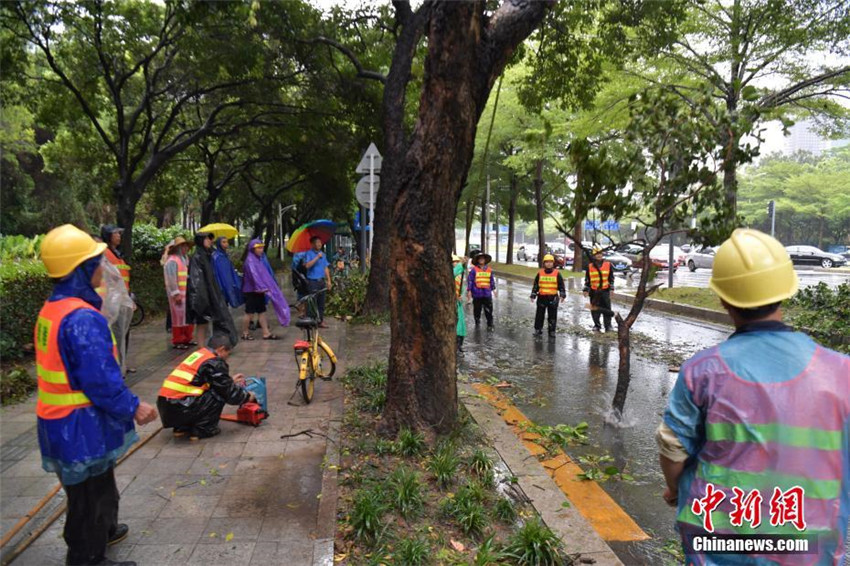 Taifun „Hato“ wütet in Guangdong