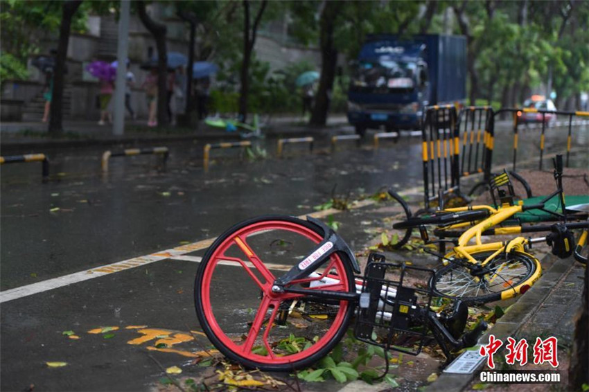 Taifun „Hato“ wütet in Guangdong