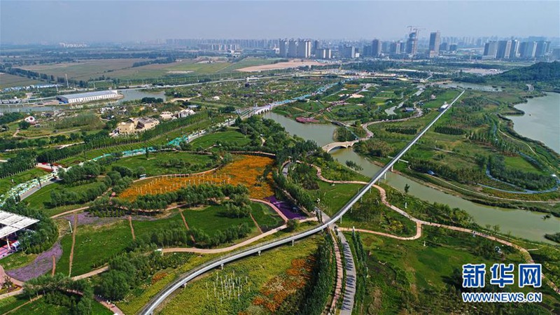 Ningxia ist breit für die 9. Chinesische Blumen-Expo