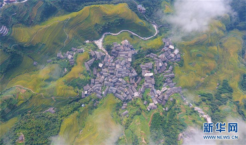 Luftbilder: Malerische Longji-Terrassen