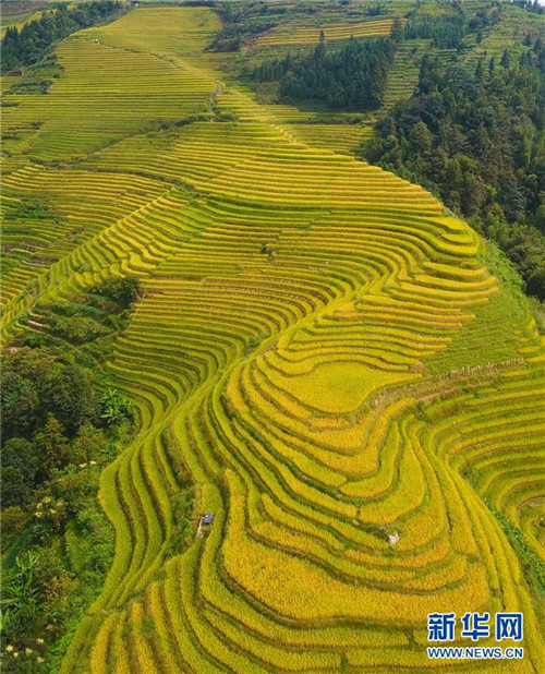 Luftbilder: Malerische Longji-Terrassen