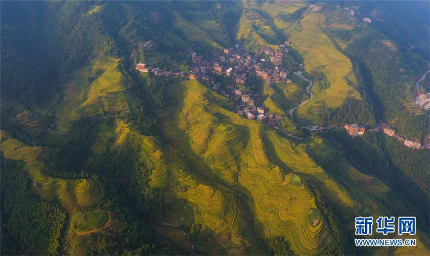 Luftbilder: Malerische Longji-Terrassen
