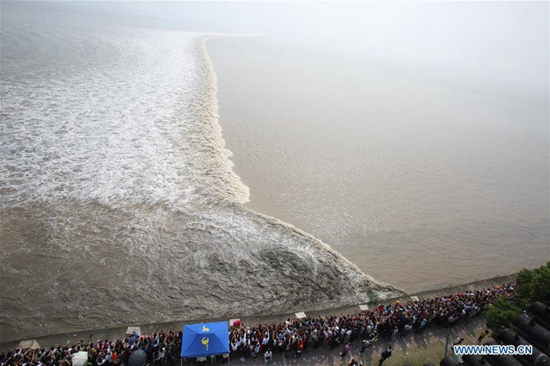 Weltweit größte Gezeitenwelle am Qiantang-Fluss