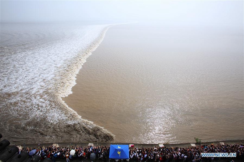 Weltweit größte Gezeitenwelle am Qiantang-Fluss