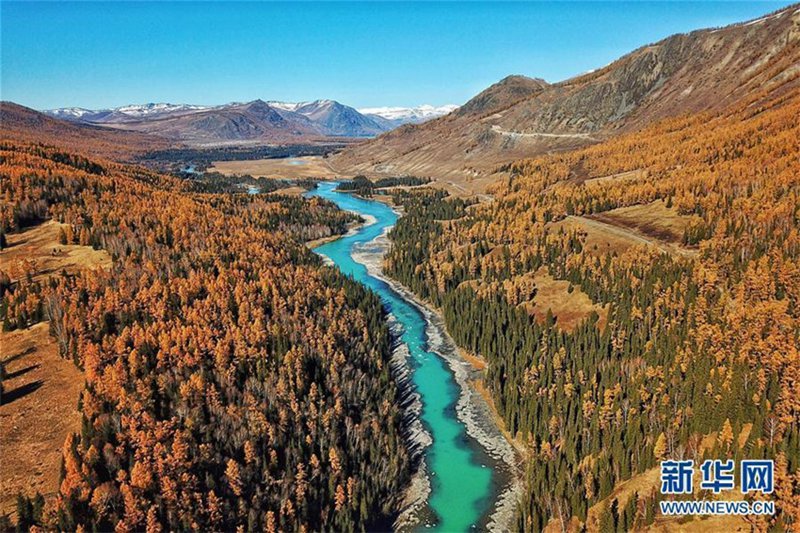Herbstlandschaft am Kanas-See in Xinjiang