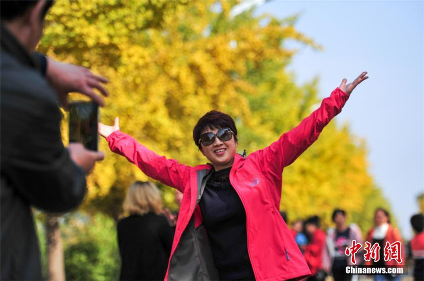 Goldener Herbst in Shenyang