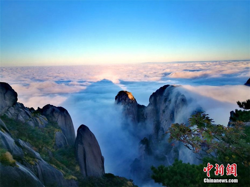 Atemberaubendes Wolkenmeer am Huangshan-Berg