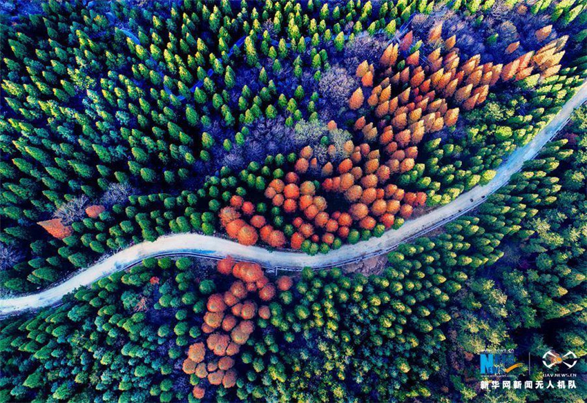 Luftbilder: Faszinierende Herbstlandschaft des Berges Huangbaishan