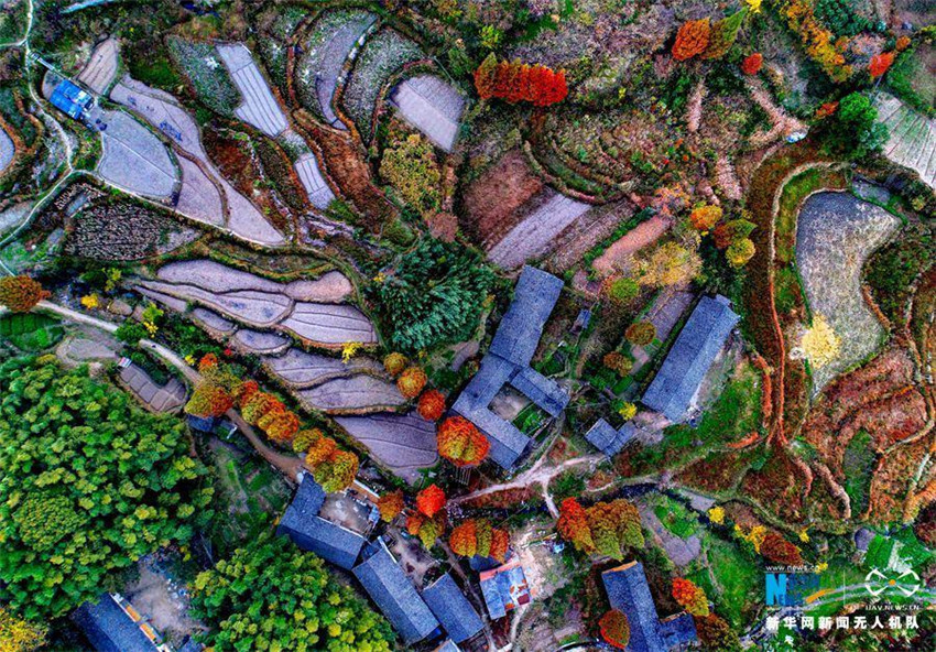 Luftbilder: Faszinierende Herbstlandschaft des Berges Huangbaishan