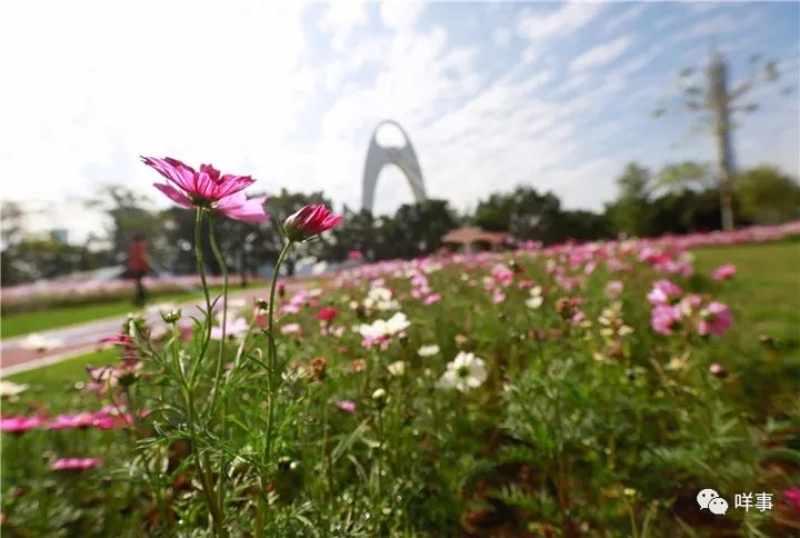 Fortune Global Forum 2017: Die Welt begegnet dem schönsten Guangzhou