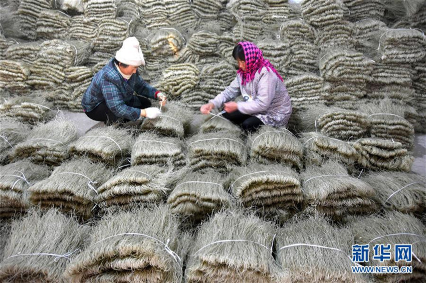 Verkaufshochsaison der Kartoffel-Fadennudel in Shandong