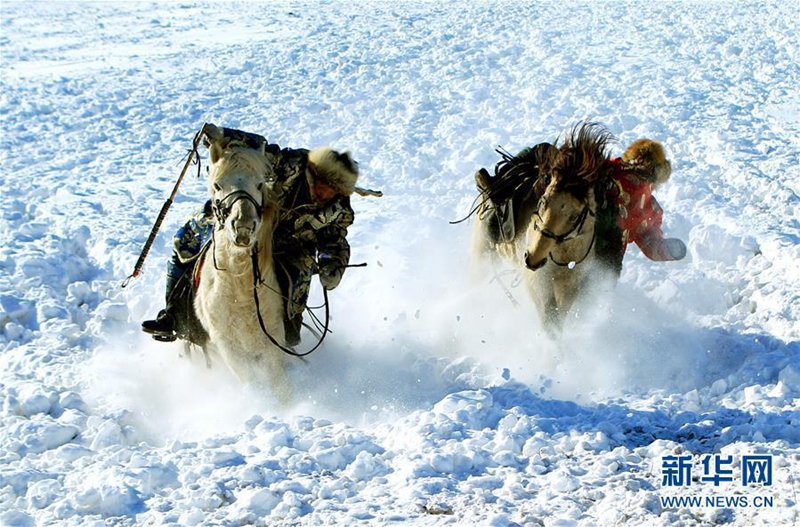 Pferderennen im Schnee