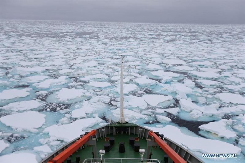 Nordpol-Expedition von Chinas Eisbrecher „Xuelong“