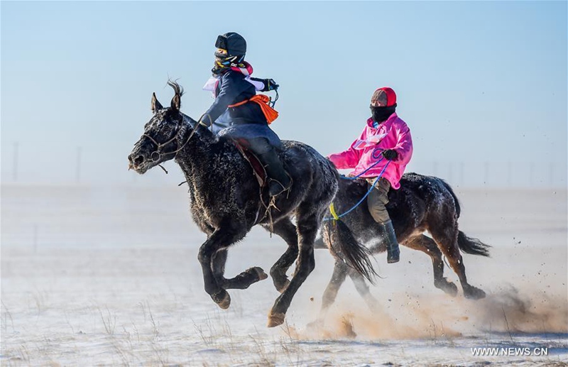 Kamelmesse in der Inneren Mongolei