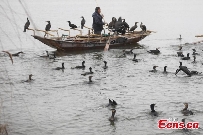 Winterfischen im Osten