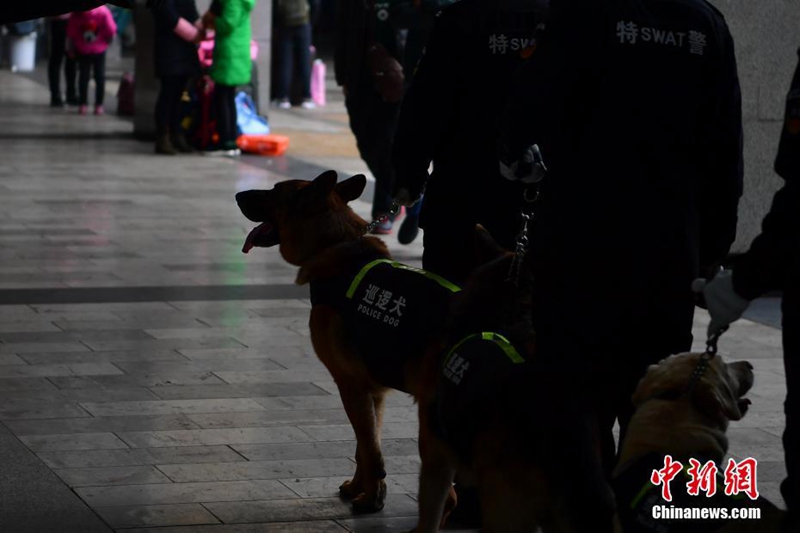 Diensthunde sollen für Sicherheit im Bahnhof sorgen 