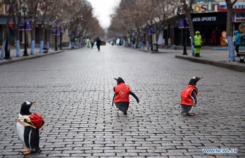 Pinguine in Tang-Anzug in Harbin