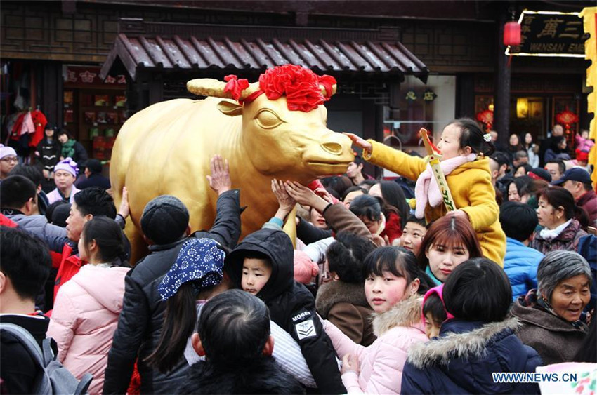 Chinesen feiern Jahr des Hundes