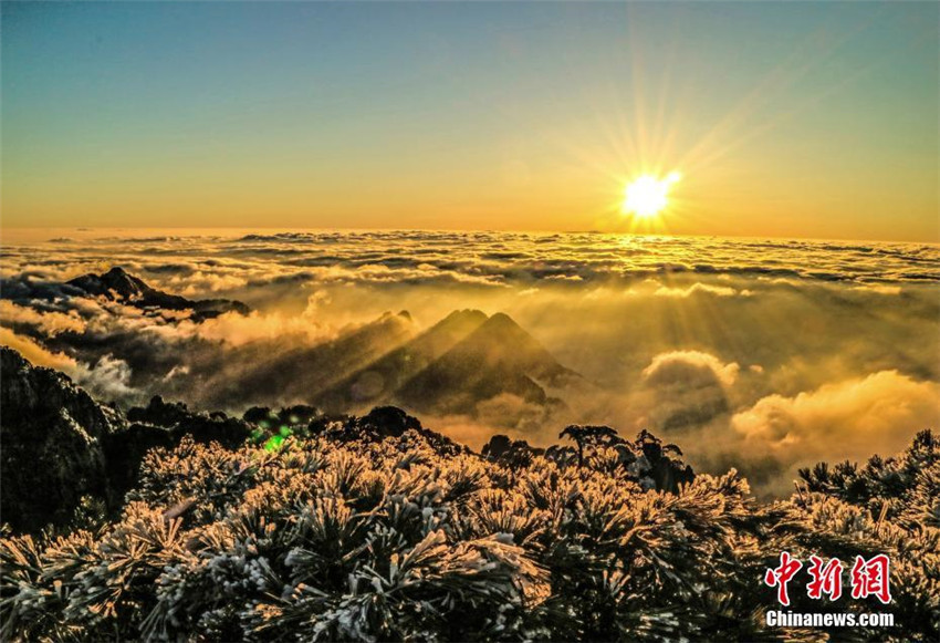 Faszinierendes Wolkenmeer am Huangshan-Berg