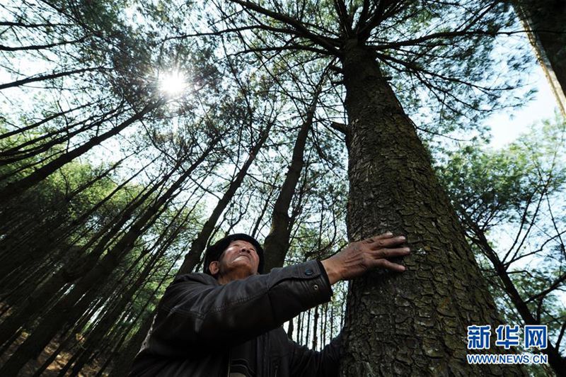 Drei Generationen Waldwächter in Guizhou