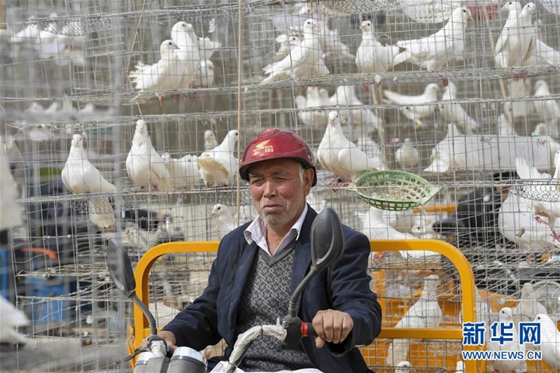 Maßnahmen helfen den Bauern in Xinjiang gegen Armut