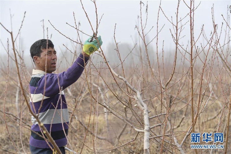 Maßnahmen helfen den Bauern in Xinjiang gegen Armut