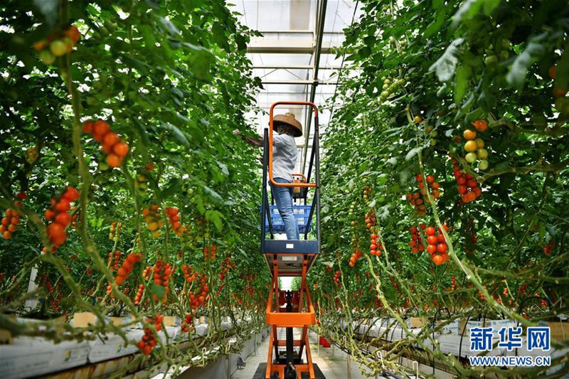 Technik macht Landwirtschaft moderner