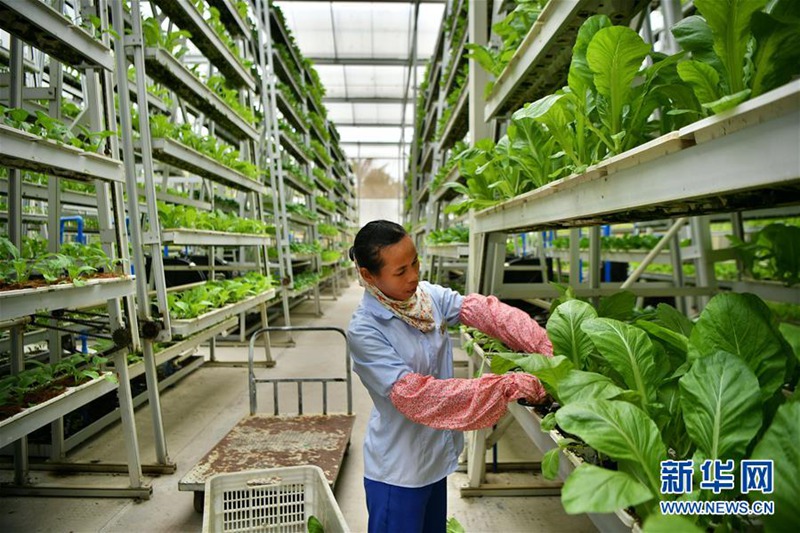 Technik macht Landwirtschaft moderner