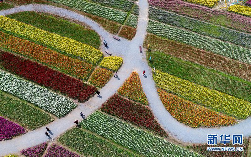 Tulpen-Kunstwerke in Wuhan