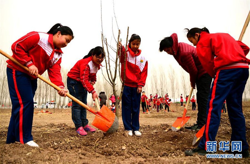 Aufforstung und grüne Entwicklung in Langfang, Hebei