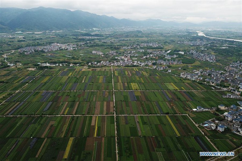 Eine Steigerung des ländlichen Lebens in Chinas Provinz Zhejiang
