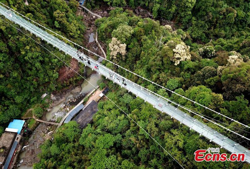 Der Glasgehweg in Fujian