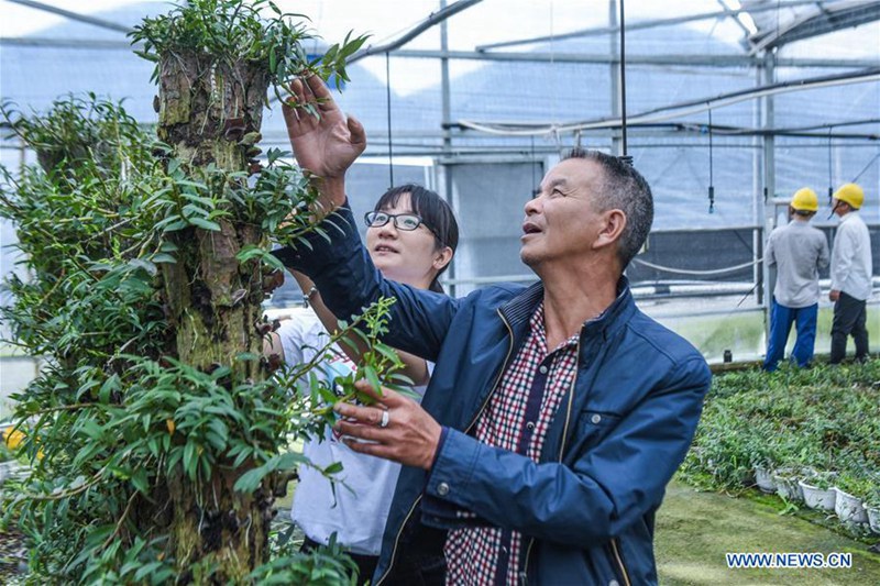 Technik fördert die Erträge der Agrikultur in der Provinz Zhejiang