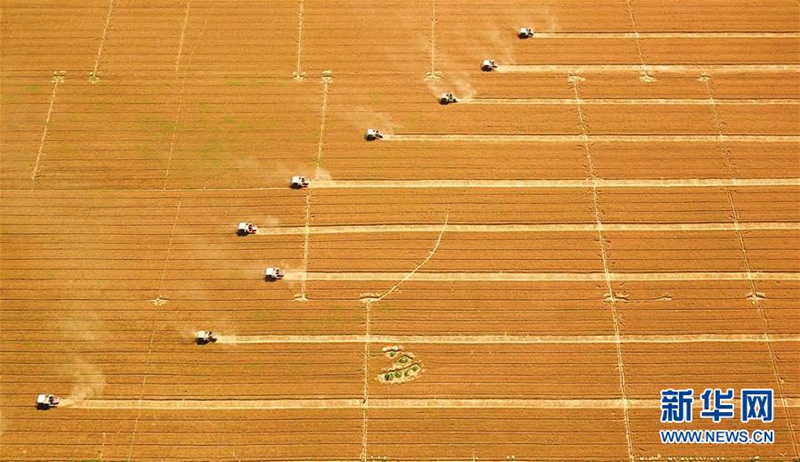 Getreideernte in der Provinz Hebei