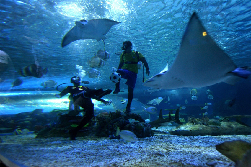 Taucher spielen im Ocean Park im ostchinesischen Shandong unter Wasser Fußball